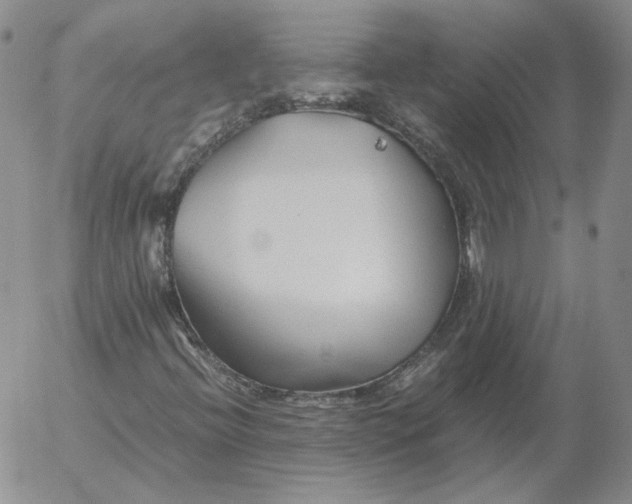 X0000053111396200508012112