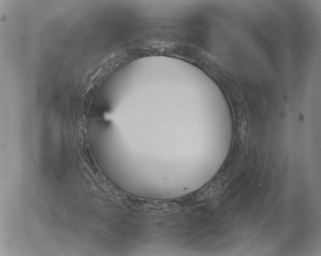 X0000053111397200508012112