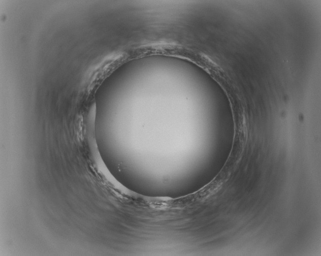 X0000053111398200508012112