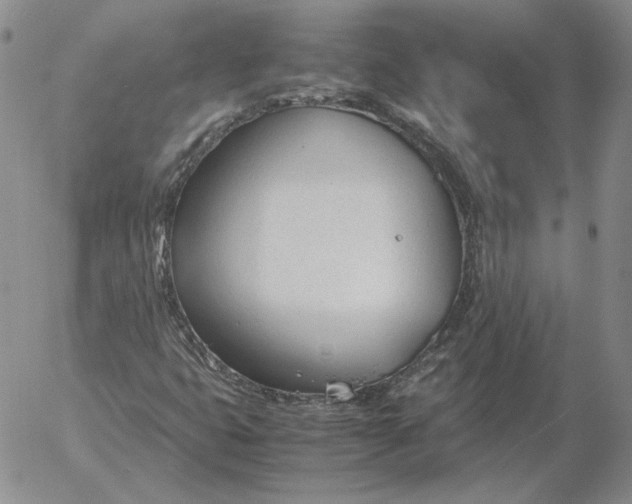 X0000053111399200508012112