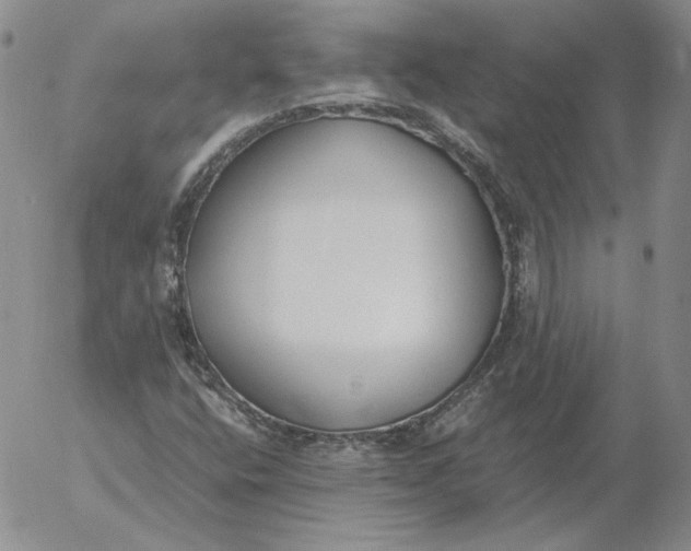 X0000053111400200508012112