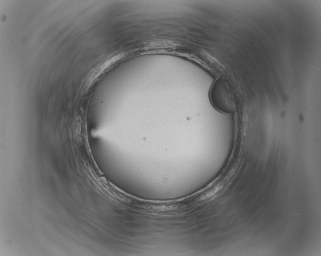 X0000053111401200508012112