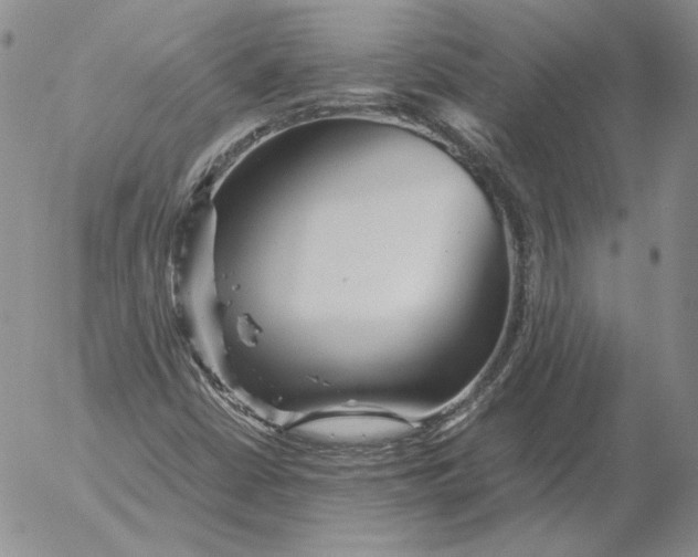 X0000053111402200508012112