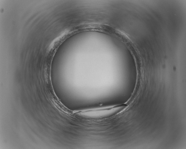 X0000053111403200508012112