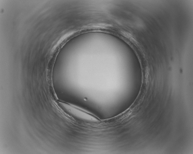 X0000053111404200508012112