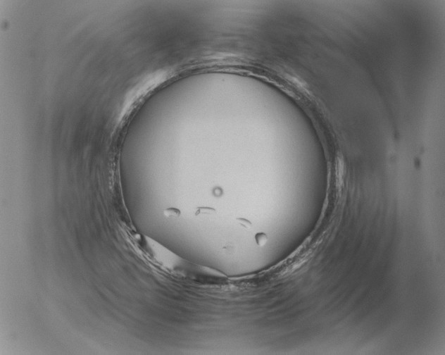 X0000053111405200508012112