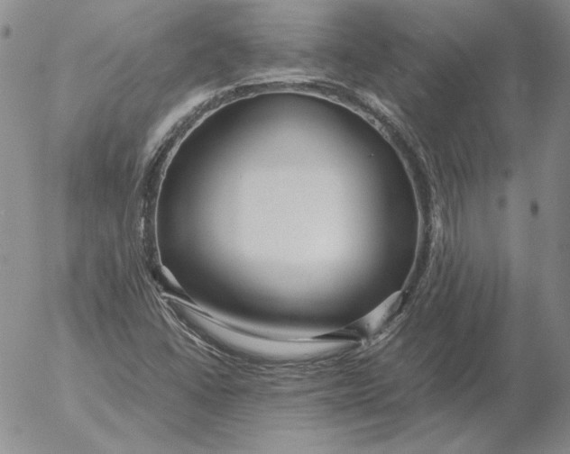 X0000053111406200508012112