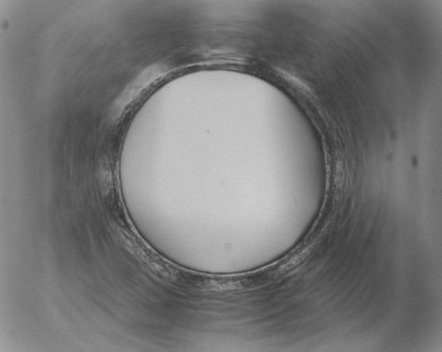 X0000053111407200508012112