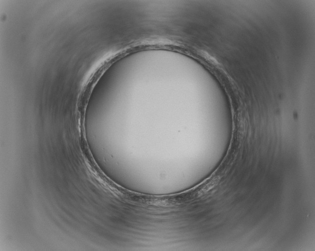 X0000053111408200508012112