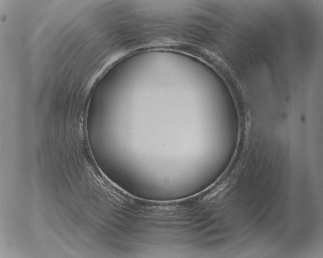 X0000053111409200508012113