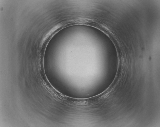 X0000053111410200508012113