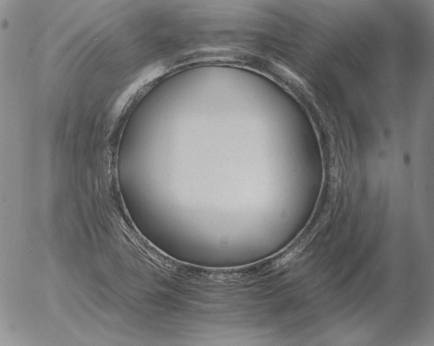 X0000053111411200508012113