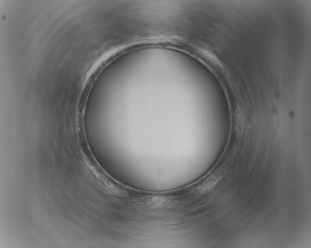 X0000053111412200508012113