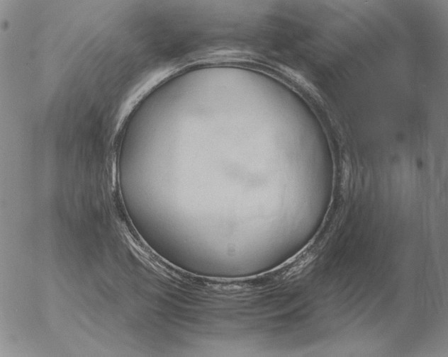 X0000053111413200508012113