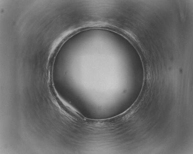 X0000053111414200508012113