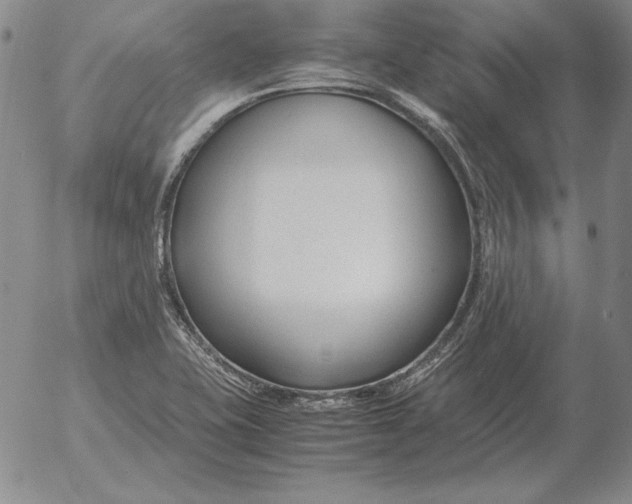 X0000053111415200508012113