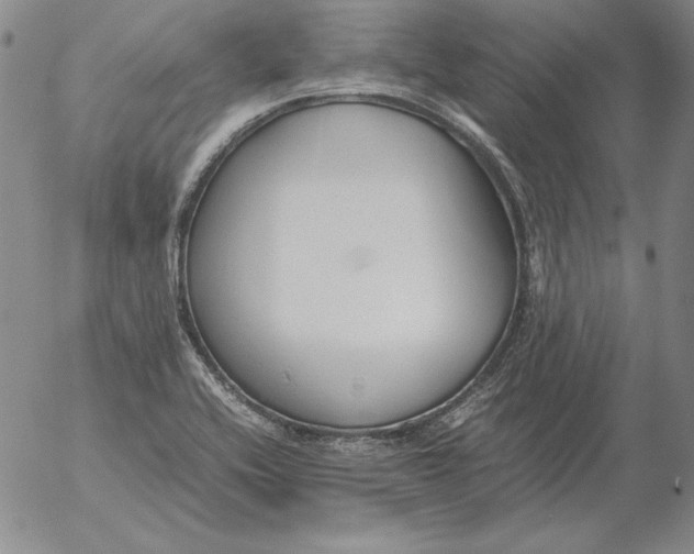 X0000053111416200508012113