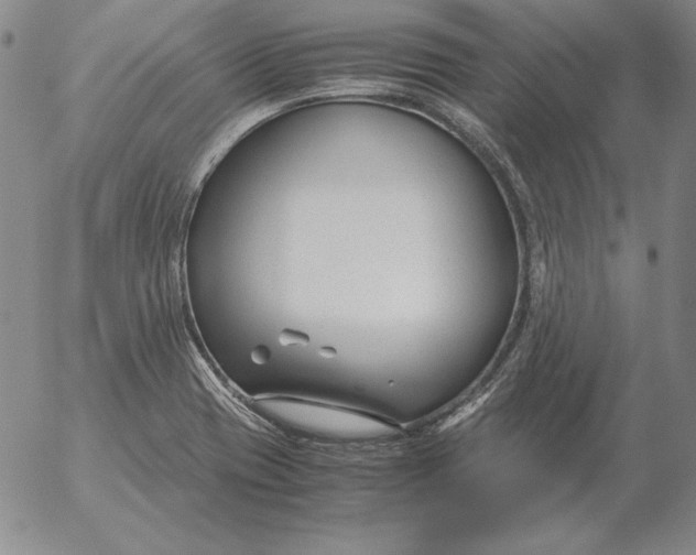 X0000053111417200508012113