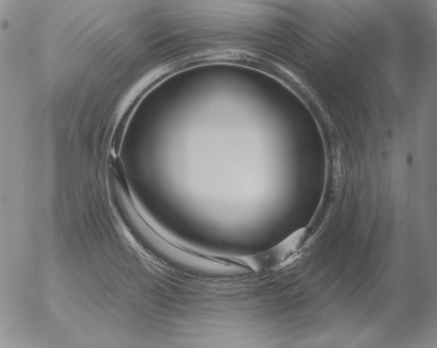 X0000053111418200508012113