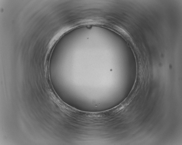 X0000053111419200508012113