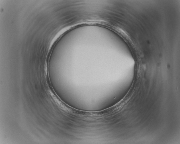 X0000053111420200508012113