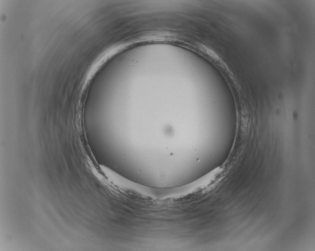 X0000053111421200508012113