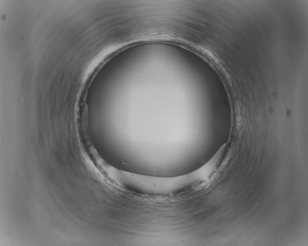 X0000053111422200508012113