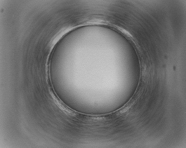 X0000053111423200508012113