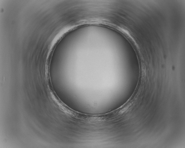 X0000053111424200508012113