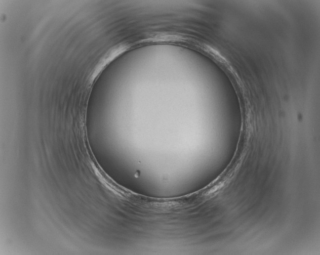 X0000053111425200508012113