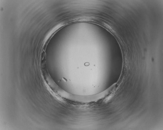 X0000053111426200508012113