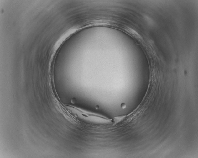 X0000053111427200508012113