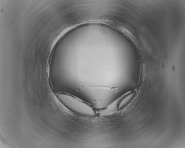 X0000053111428200508012113