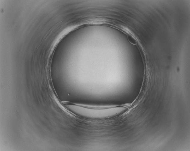 X0000053111429200508012113