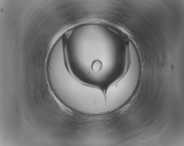 X0000053111430200508012113