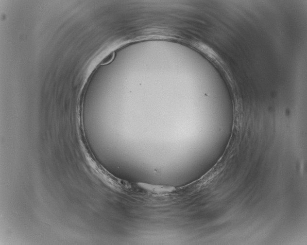 X0000053111431200508012113