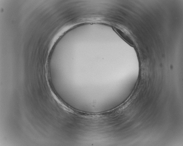 X0000053111432200508012113