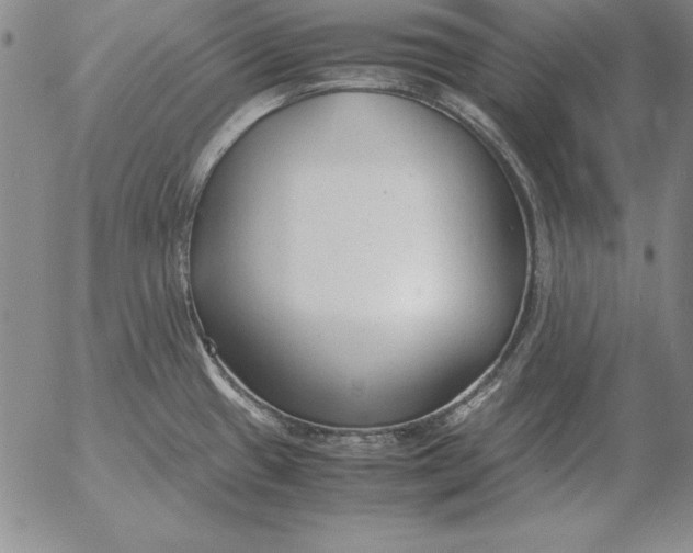 X0000053111433200508012113