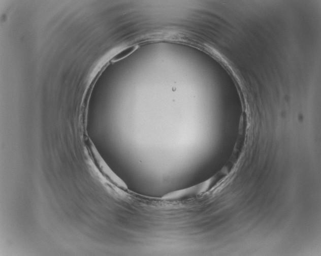 X0000053111434200508012113