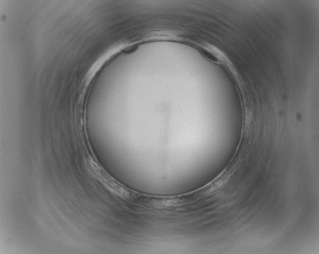 X0000053111435200508012113