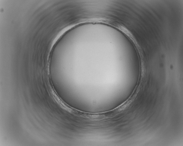 X0000053111436200508012113