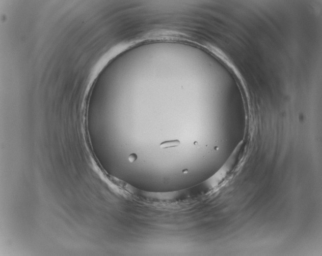 X0000053111437200508012113