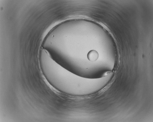 X0000053111438200508012113