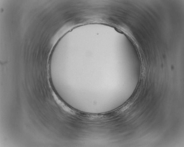 X0000053111439200508012113