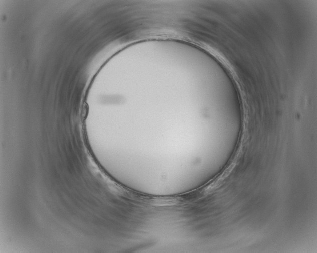 X0000053111440200508012113