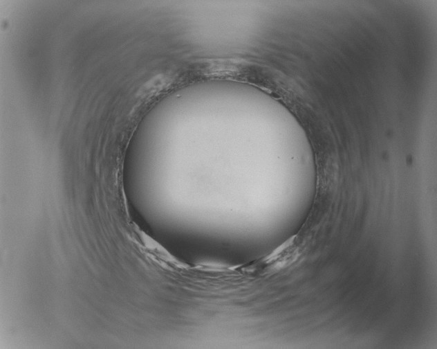 X0000053111441200508012112