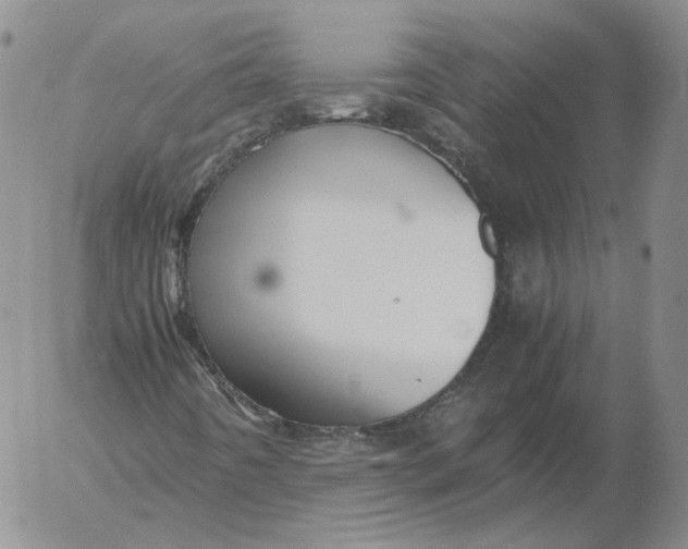 X0000053111442200508012112