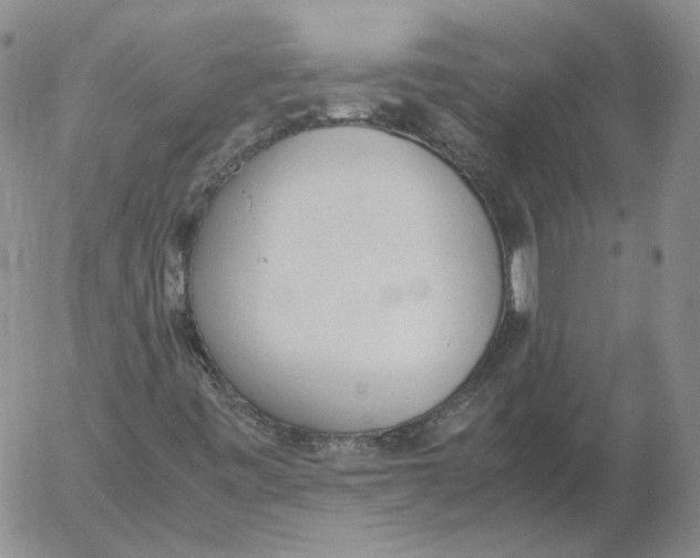 X0000053111443200508012112