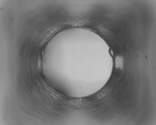 X0000053111444200508012112