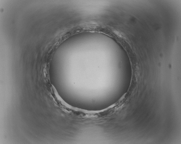 X0000053111445200508012112